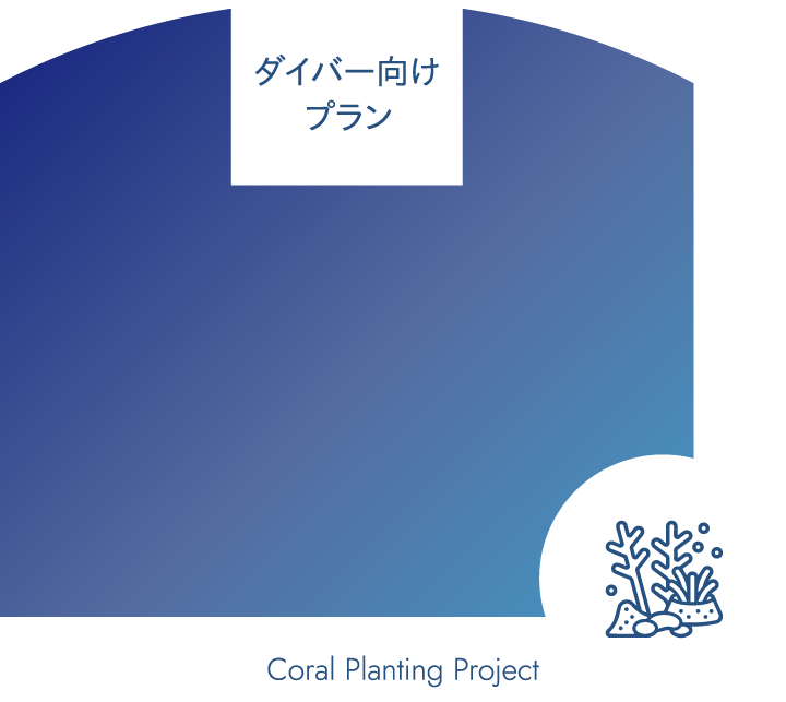きらきらサンゴ植樹体験
