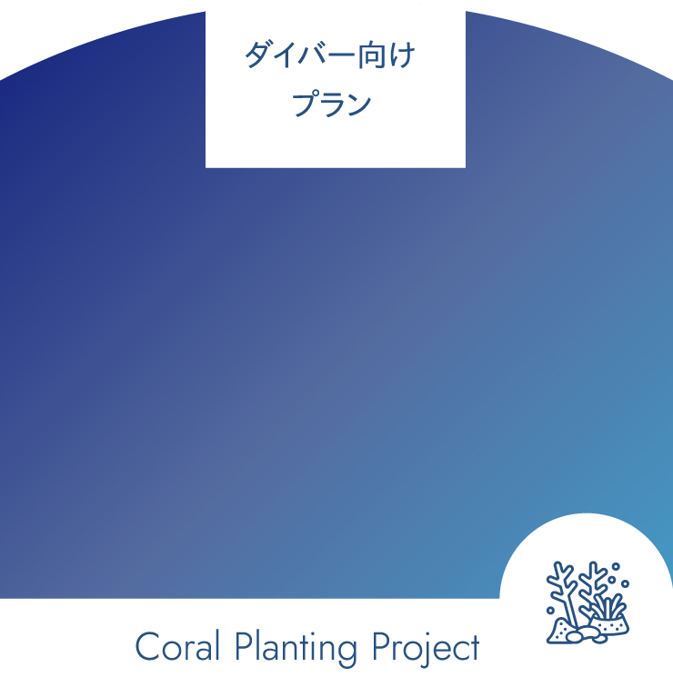 きらきらサンゴ植樹体験